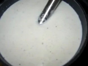 Rezept: Kokos-Tonka-Panna-Cotta Bild Nr. 5 Kokos-Tonka-Panna-Cotta - Rezept - Bild Nr. 5