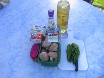 Geschnetzeltes in Bärlauch - Pilz - Sauce - Rezept - Bild Nr. 3