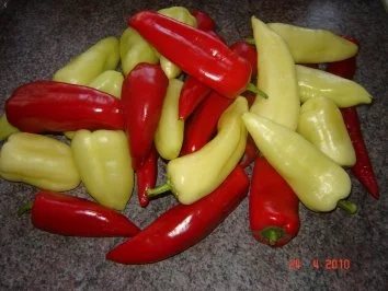 Rezept: Beilage : Ungarisches Letscho Bild Nr. 2 Beilage : Ungarisches Letscho - Rezept - Bild Nr. 2