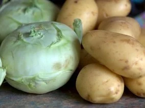 KOHLRABI KRAUT - Turnip Cabbage - Kedlubnové zelí - Rezept - Bild Nr. 2