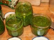 Bärlauch-Pesto - Rezept