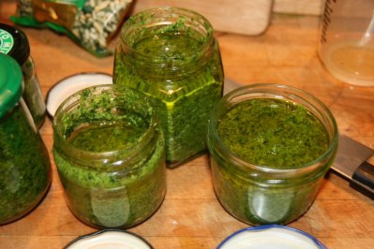 Bilder für Bärlauch-Pesto Rezept