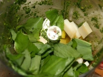 Bärlauch-Pesto - Rezept - Bild Nr. 3