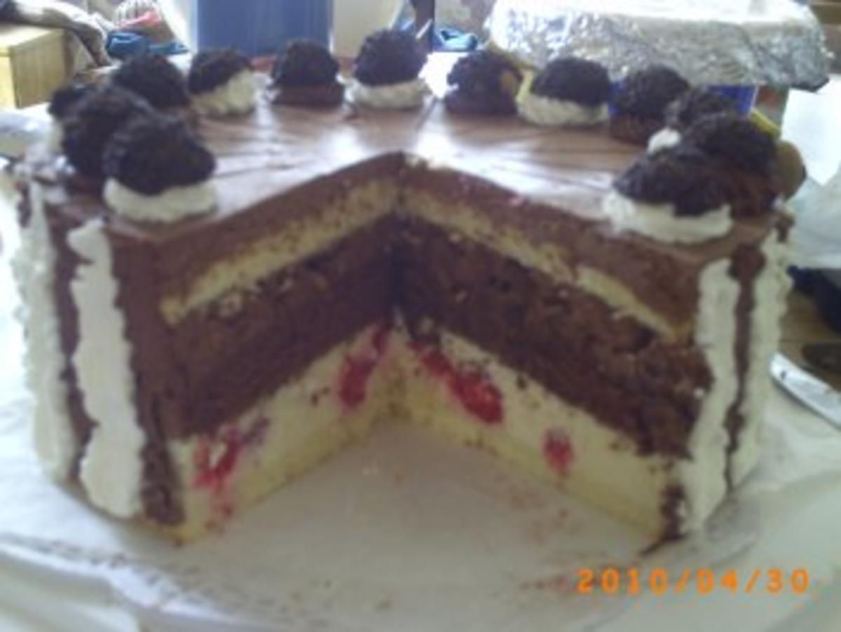 Torten: Zweifarbige Mousse-Torte - Rezept - Bild Nr. 10