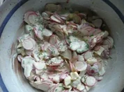 SALAT:Radieschen-Apfel-Käse - Rezept