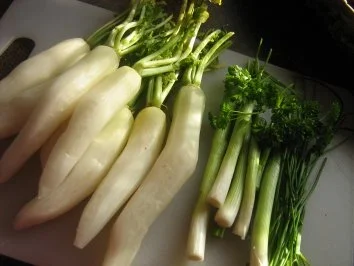 Radieschensalat aus weißen Eiszapfen - Rezept - Bild Nr. 2