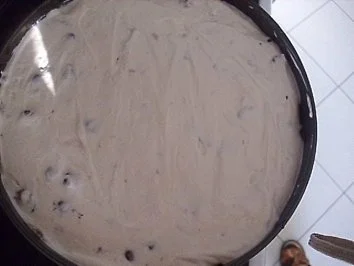 Rezept: Käse-Streuselkuchen Bild Nr. 11 Käse-Streuselkuchen - Rezept - Bild Nr. 11