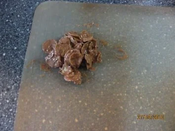 Rezept: Schoko Crossies aus „alten“ Hasen oder Nikolaus oder... Bild Nr. 9 Schoko Crossies aus „alten“ Hasen oder Nikolaus oder... - Rezept - Bild Nr. 9