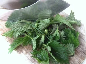 Brennesselbuletten - Rezept - Bild Nr. 3