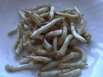 Topinambursprossen - Rezept - Bild Nr. 4