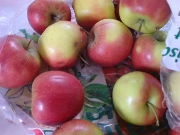 Süßer Auflauf - Rezept - Bild Nr. 5