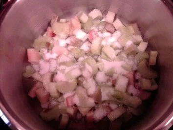 Rezept: Rhabarber-Kuchen mit Pudding Bild Nr. 3 Rhabarber-Kuchen mit Pudding - Rezept - Bild Nr. 3