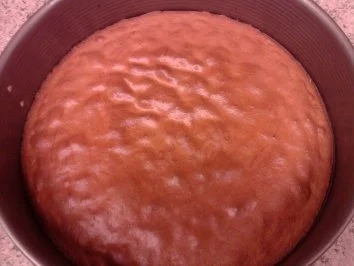 Rezept: Rhabarber-Kuchen mit Pudding Bild Nr. 4 Rhabarber-Kuchen mit Pudding - Rezept - Bild Nr. 4