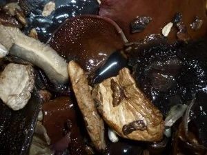 Schweine-Medaillons mit Pilzen in Cognac-Rahm an Vanille-Reis - Rezept - Bild Nr. 5