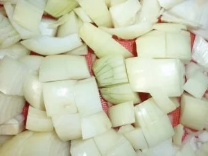 Schweine-Medaillons mit Pilzen in Cognac-Rahm an Vanille-Reis - Rezept - Bild Nr. 6