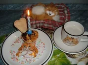 Kuchen......Kokos-Muffins.....für Daggi nachträglich zum . KB-Jubi.....25.4. - Rezept