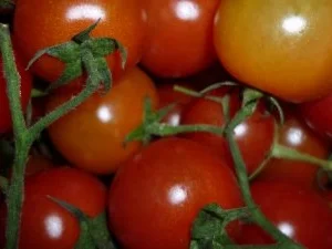 Rezept: Spargel - Hackfleischpizza Bild Nr. 4 Spargel - Hackfleischpizza - Rezept - Bild Nr. 4