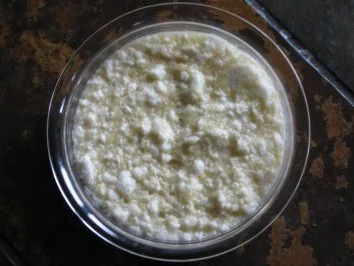 Rezept: Rhabarberspeise Bild Nr. 3 Rhabarberspeise - Rezept - Bild Nr. 3