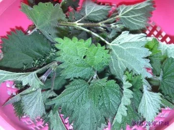 Brennesselkartoffelüpü - Rezept - Bild Nr. 3