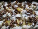 Kartoffel-Blumenkohl-Gratin - Rezept