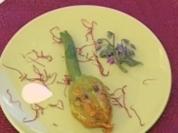 Fleisch fressende Zucchiniblüten - Rezept