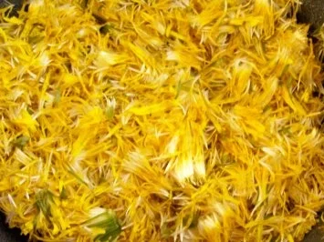 Einmachen: Bio-Löwenzahnblüten-Honig - Rezept