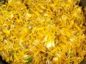 Einmachen: Bio-Löwenzahnblüten-Honig - Rezept