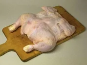 Labor-Huhn - Rezept