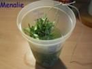 Maibowle - Rezept