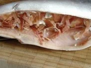 Gefüllte Lachsforelle mit Bacon - Rezept - Bild Nr. 2