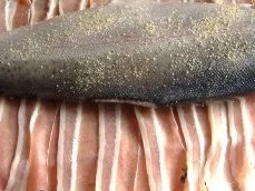 Gefüllte Lachsforelle mit Bacon - Rezept - Bild Nr. 3