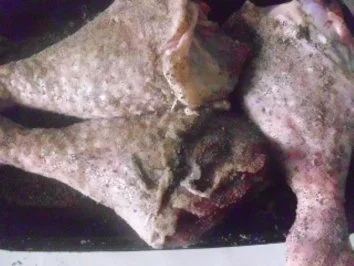 Putenkeulen ~ Gigots de dinde - Rezept - Bild Nr. 7