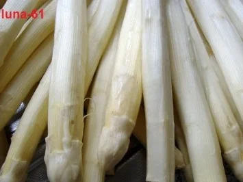 ASPARAGI A MO' DI LUNA - Spargel nach Luna's Art - Rezept - Bild Nr. 3