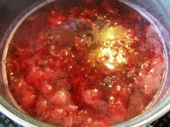 Likör: Beeren-Likör - Rezept - Bild Nr. 4