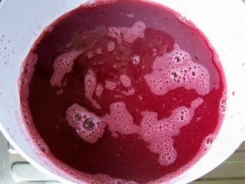 Likör: Beeren-Likör - Rezept - Bild Nr. 5