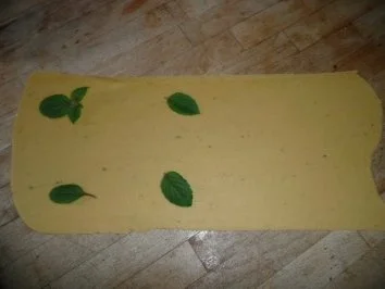 Rezept: VORSPEISENTELLER/GEMISCHT 4:Ravioli Ziegenfrischkäse&Tomate gefüllt mit Thunfisch Bild Nr. 2 VORSPEISENTELLER/GEMISCHT 4:Ravioli Ziegenfrischkäse&Tomate gefüllt mit Thunfisch - Rezept - Bild Nr. 2