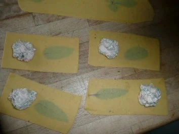 Rezept: VORSPEISENTELLER/GEMISCHT 4:Ravioli Ziegenfrischkäse&Tomate gefüllt mit Thunfisch Bild Nr. 4 VORSPEISENTELLER/GEMISCHT 4:Ravioli Ziegenfrischkäse&Tomate gefüllt mit Thunfisch - Rezept - Bild Nr. 4