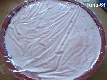 SEMIFREDDO ALLE FRAGOLE - Halbgefrorenes mit Erdbeeren - Rezept - Bild Nr. 8