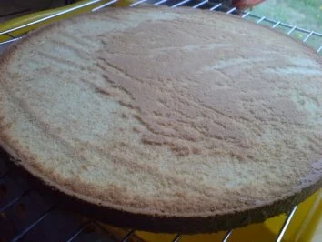 Biskuitboden - Rezept - Bild Nr. 10