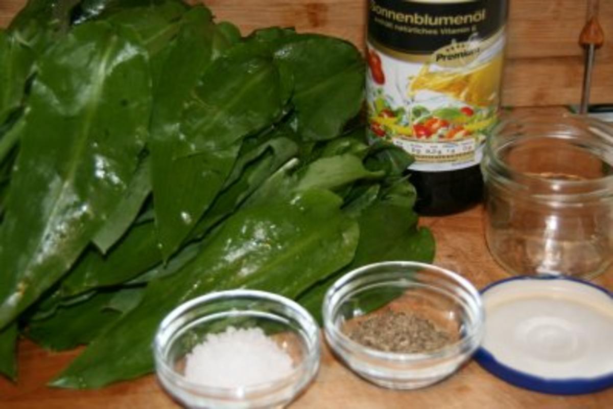 Bärlauch - Paste - Rezept - Bild Nr. 2