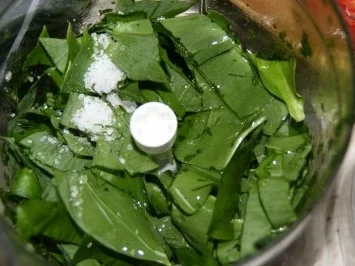 Rezept: Bärlauch - Paste Bild Nr. 4 Bärlauch - Paste - Rezept - Bild Nr. 4