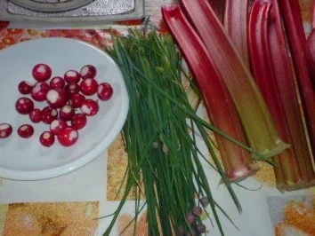 Hackfleischschnitzel in Paprikasahne - Rezept - Bild Nr. 3