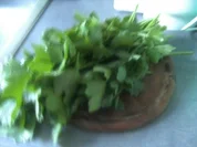 Maggikraut tiefgefroren - Rezept