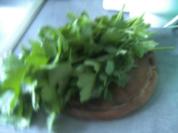 Maggikraut tiefgefroren - Rezept