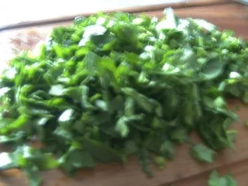 Maggikraut tiefgefroren - Rezept - Bild Nr. 2