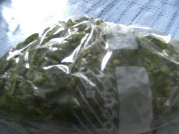 Maggikraut tiefgefroren - Rezept - Bild Nr. 3