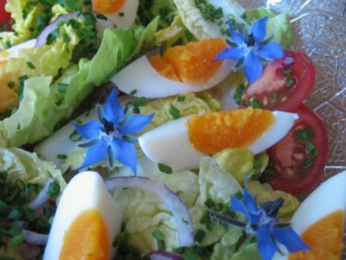 Salat-Herzen mit Borretschblüten ... - Rezept - Bild Nr. 5