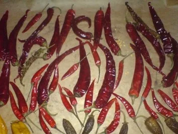 Sonstiges Peperoni trocknen - Rezept