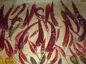 Sonstiges Peperoni trocknen - Rezept