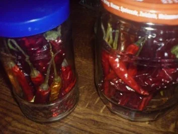 Sonstiges Peperoni trocknen - Rezept - Bild Nr. 4